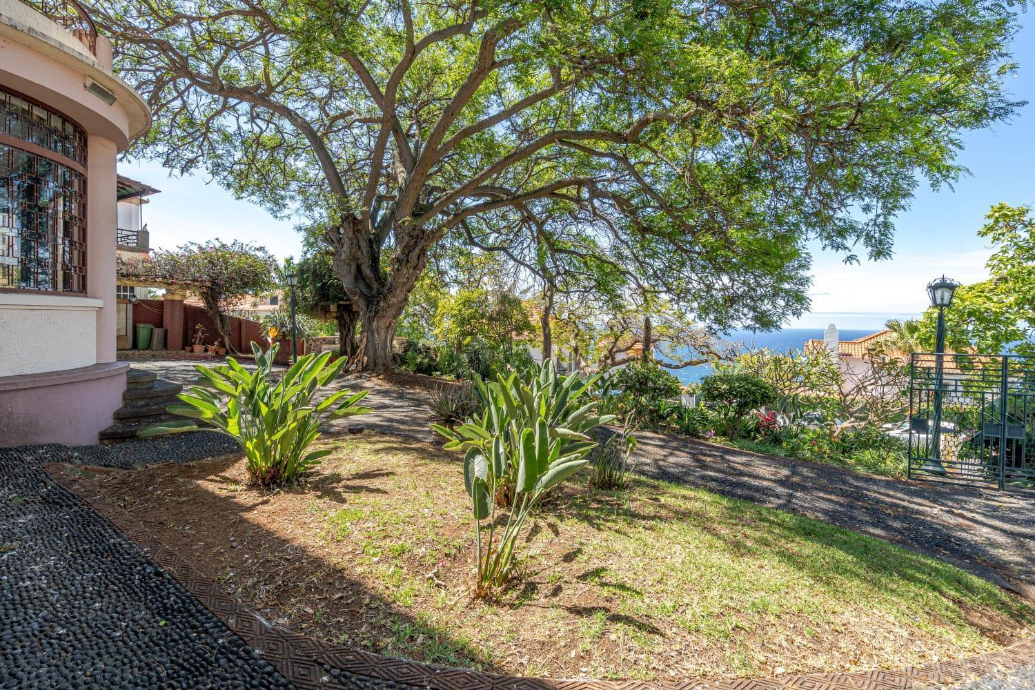 Homestay Francisco's Funchal (Madeira)