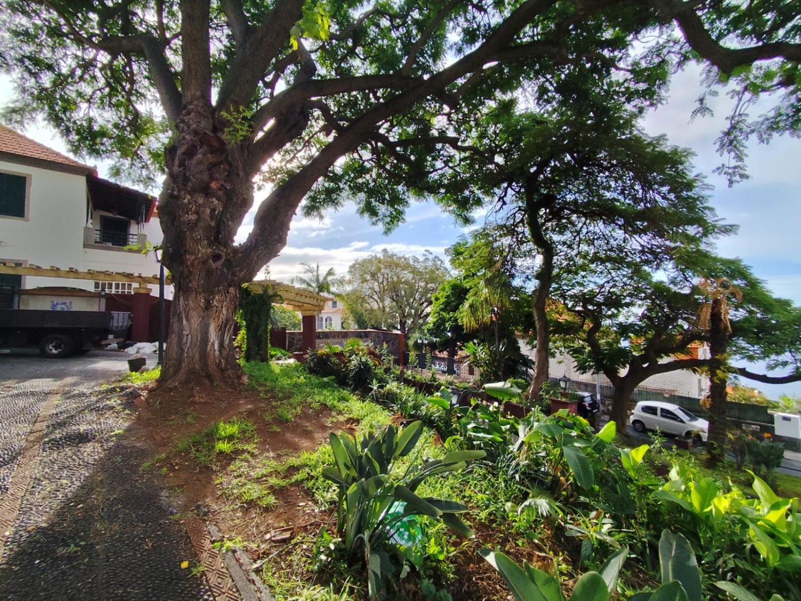Francisco's Homestay Funchal (Madeira)