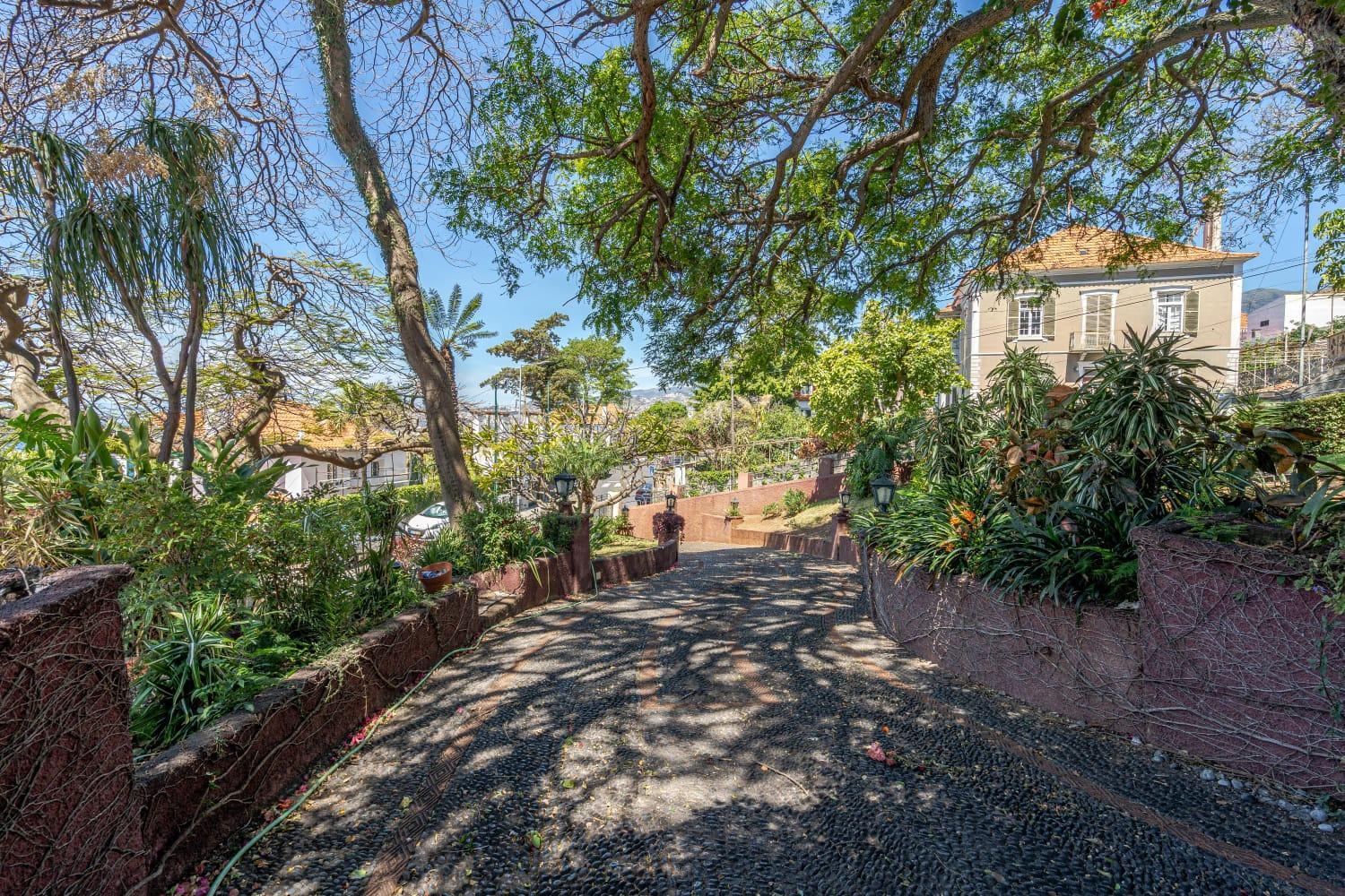 Francisco's Habitación en casa particular Funchal (Madeira)